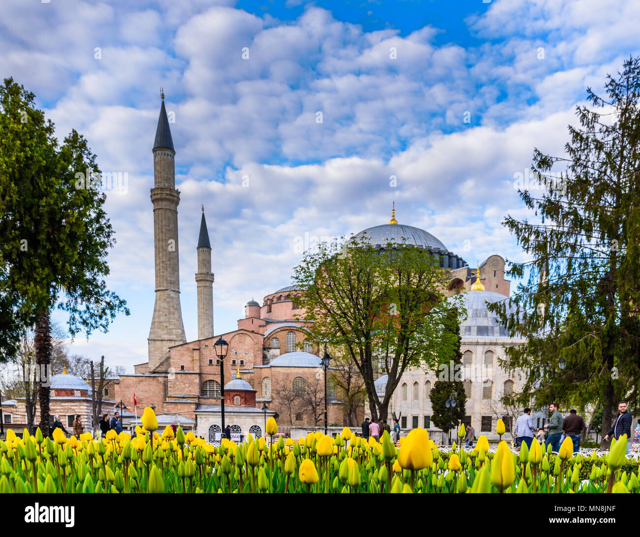 Tulip tradizionale Festa in Piazza Sultanahmet Park con vista di Hagia Sophia,un greco cristiano ortodosso patriarcale basilica (chiesa) sullo sfondo Foto Stock