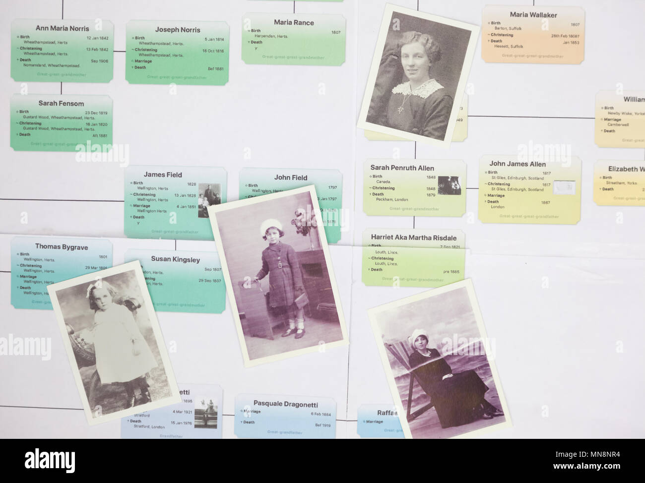 Storia di famiglia dei grafici Foto Stock