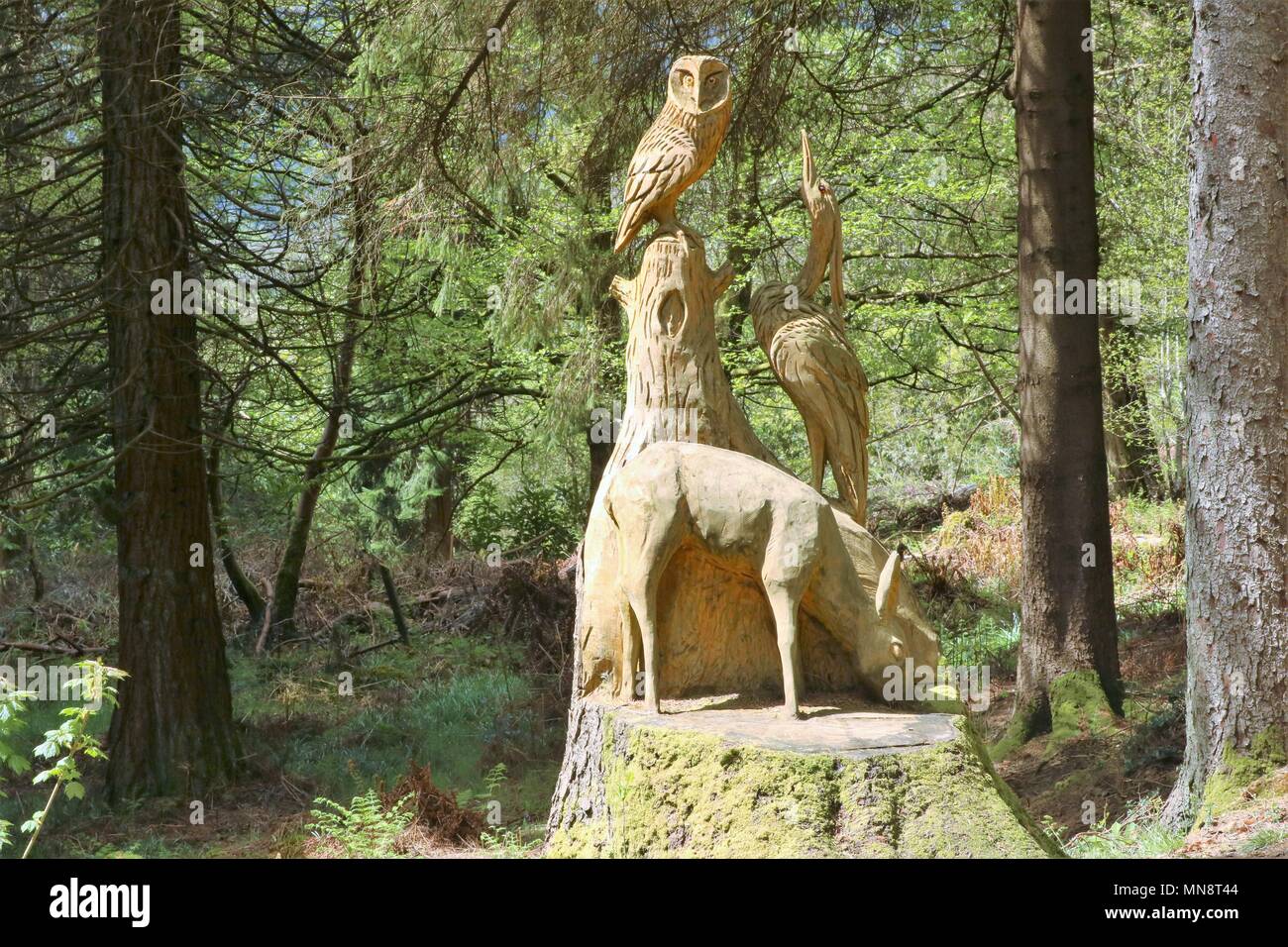 Sculture in legno di animali della foresta all'ingresso Kilmun Arboretum, Santo Loch, Scotland, Regno Unito. Foto Stock