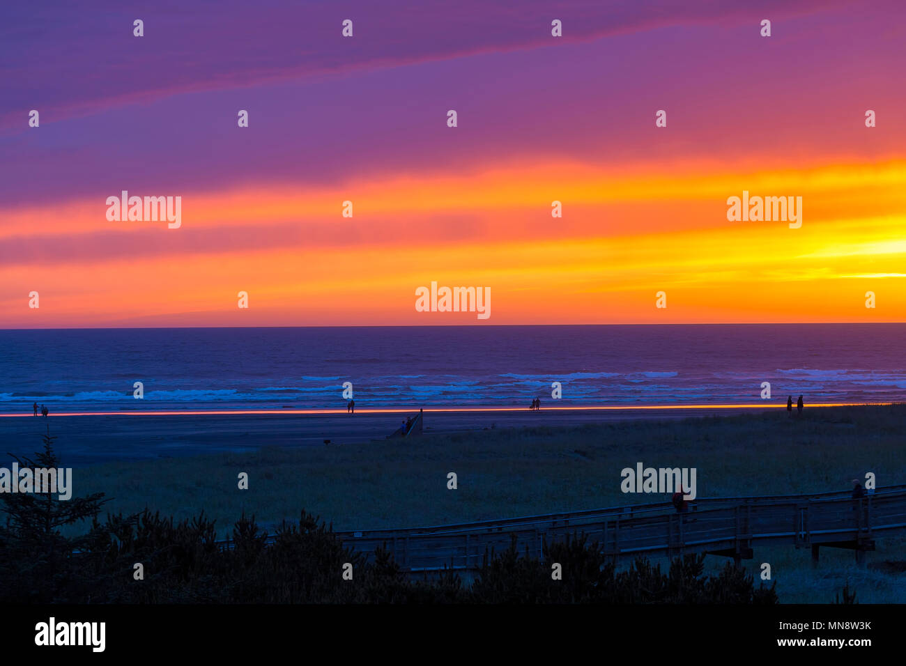 Tramonto colorato lungo la passeggiata a mare in spiaggia lunga penisola dello Stato di Washington Foto Stock