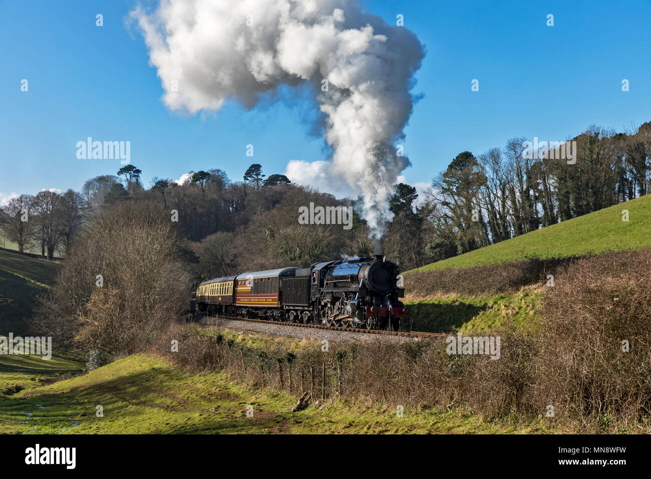 Paignton & Dartmouth Railway Foto Stock