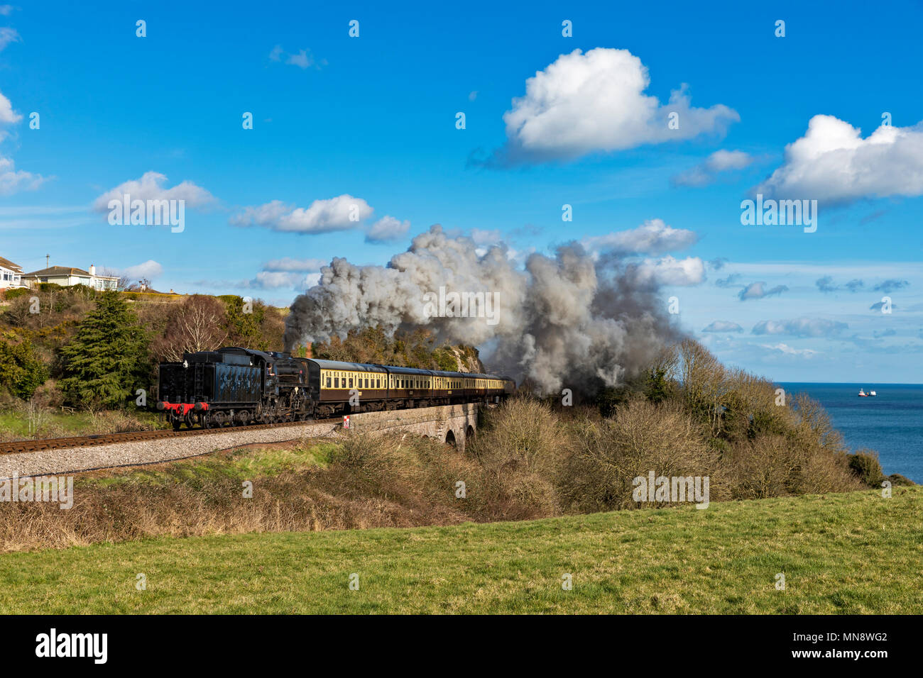 Paignton & Dartmouth Railway Foto Stock