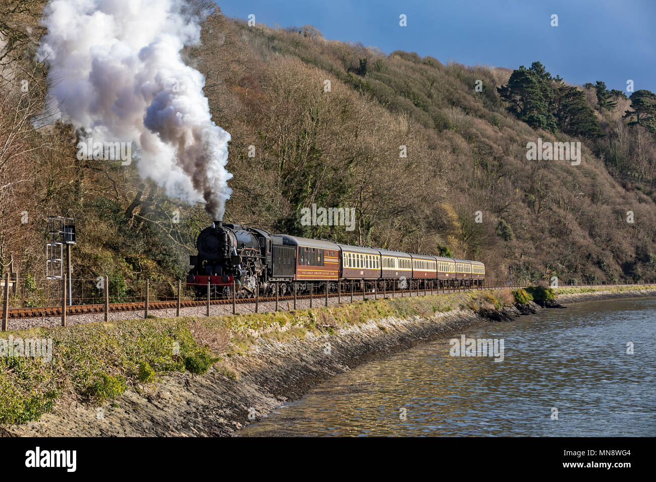 Paignton & Dartmouth Railway Foto Stock