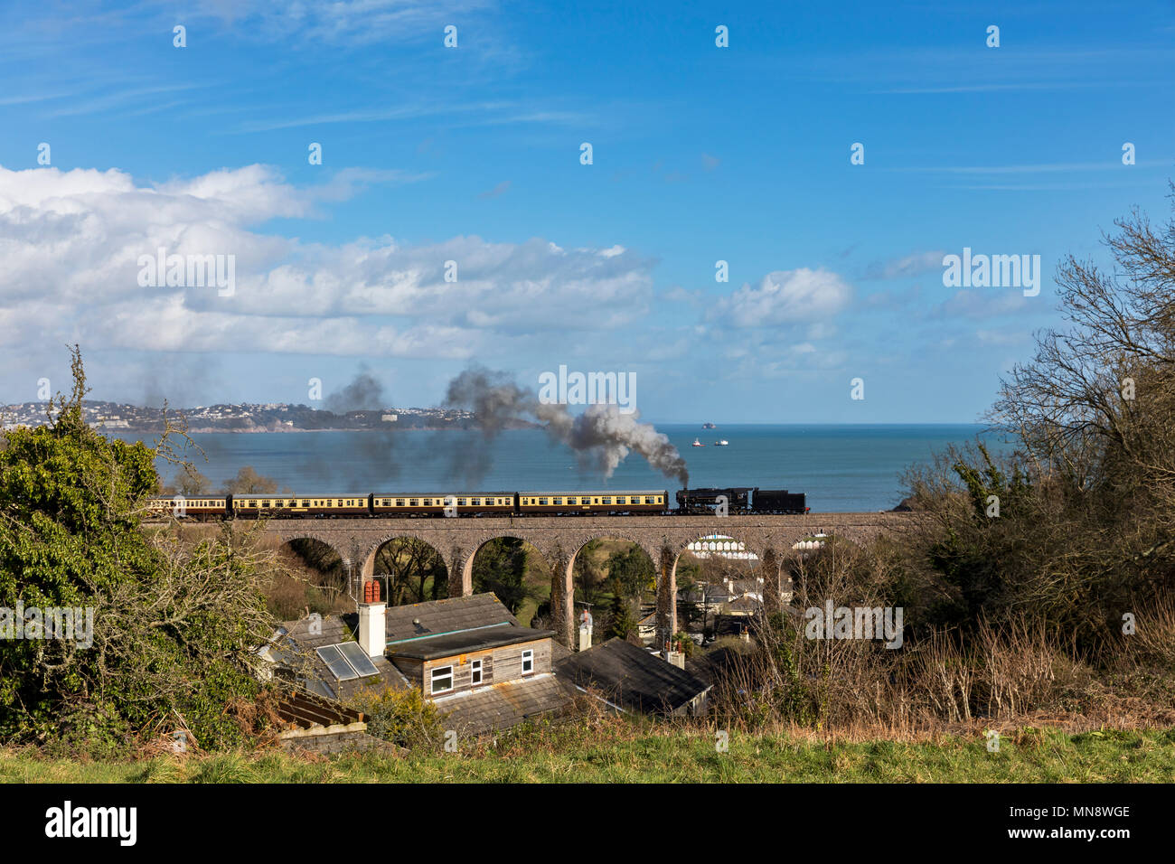 Paignton & Dartmouth Railway Foto Stock