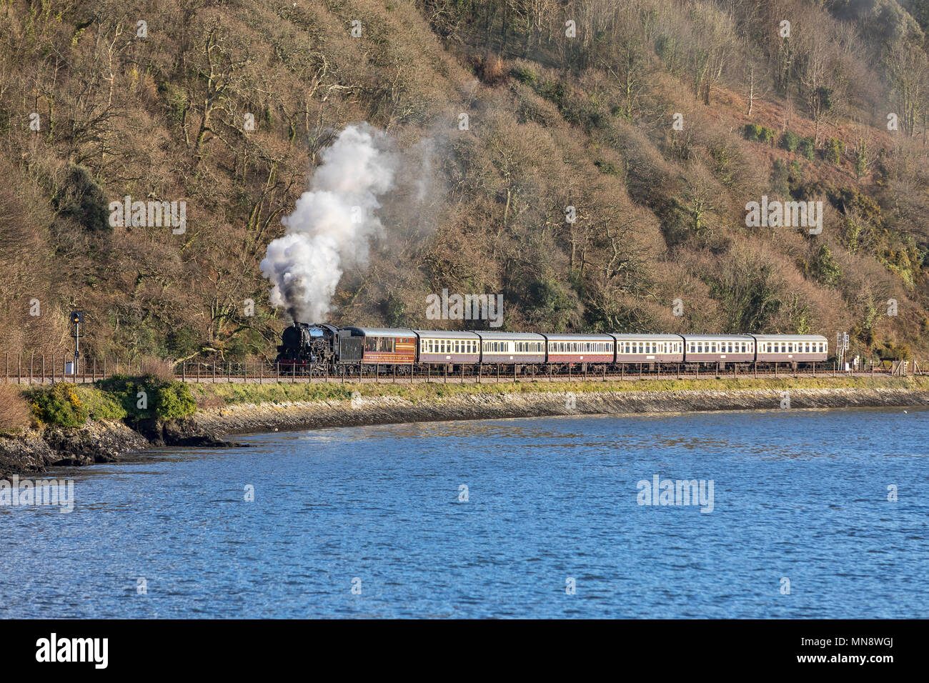 Paignton & Dartmouth Railway Foto Stock