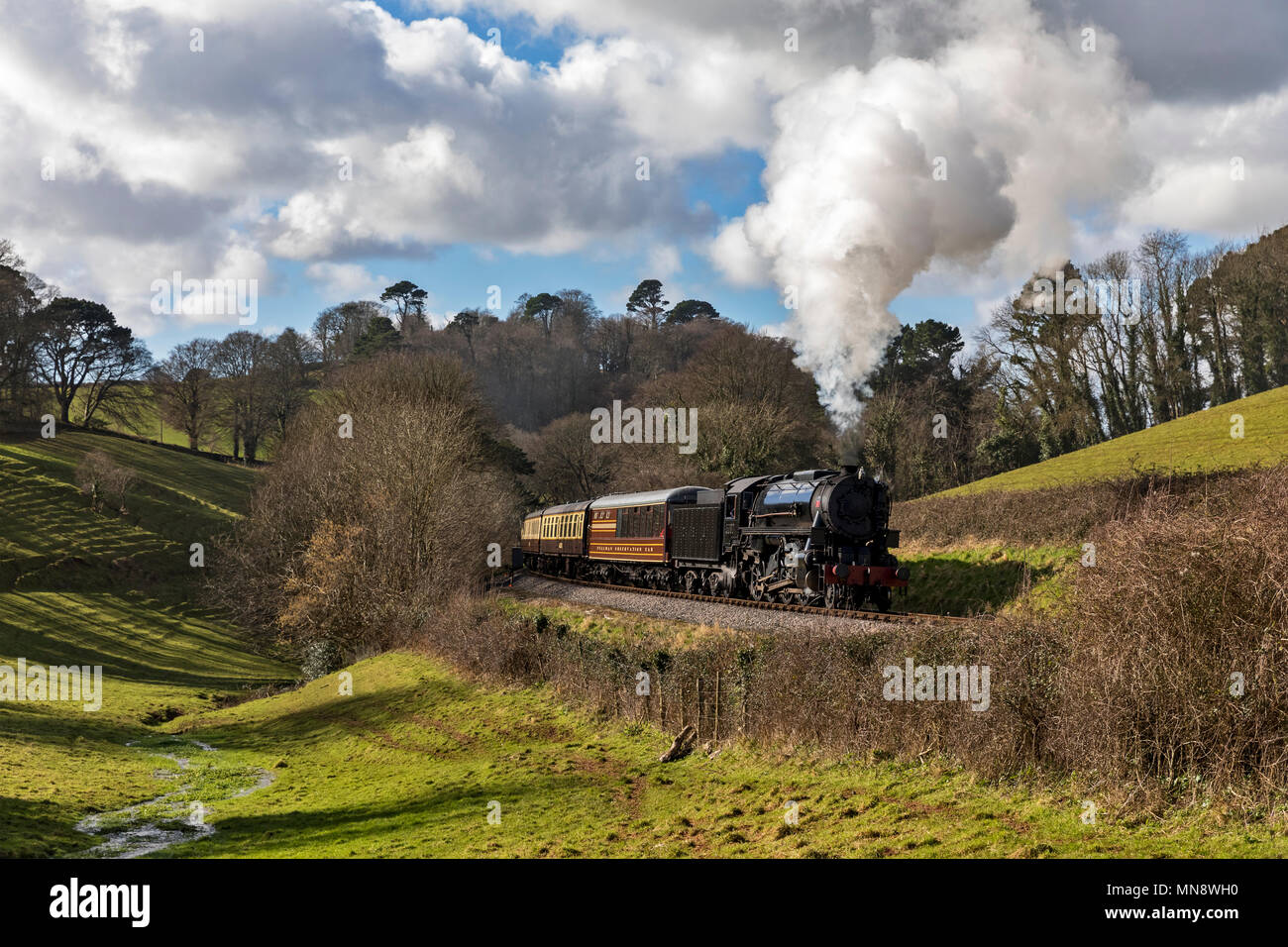 Paignton & Dartmouth Railway Foto Stock