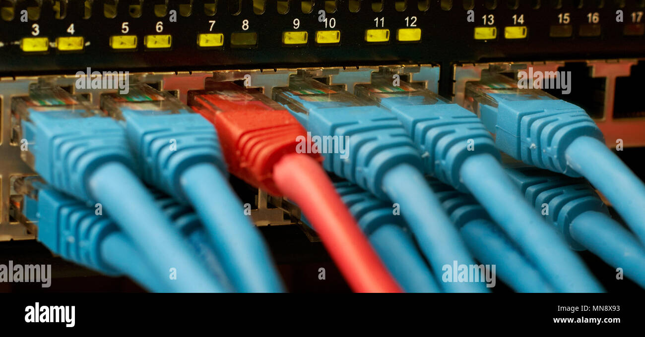 Switch di rete con cavi di collegamento, uno rosso e alcuni sono di colore blu. Foto Stock