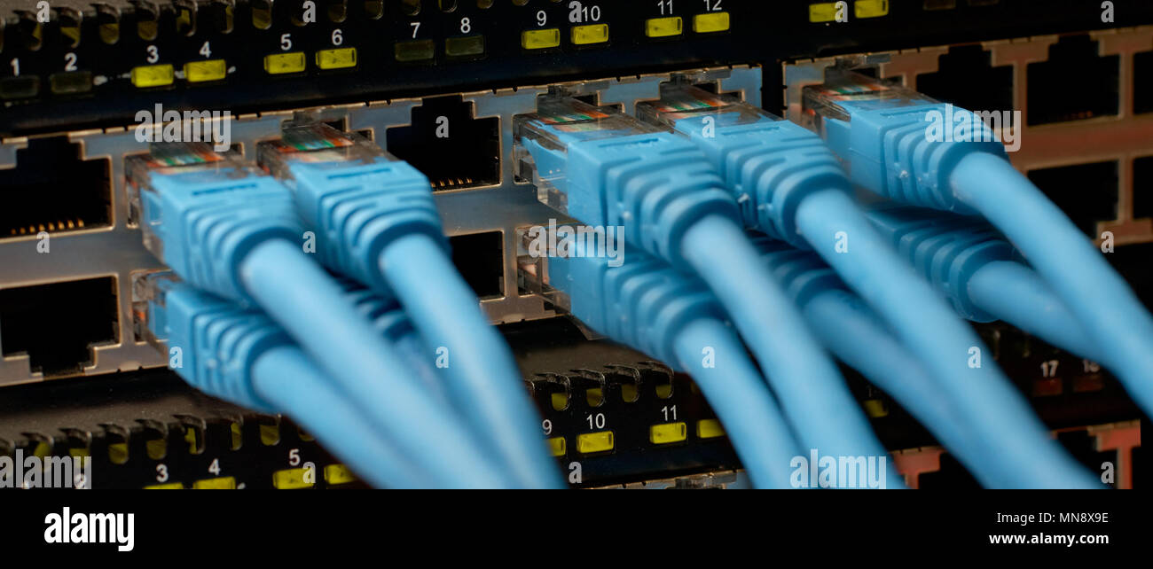 Un commutatore di rete blu con i cavi di collegamento in un centro dati. Foto Stock