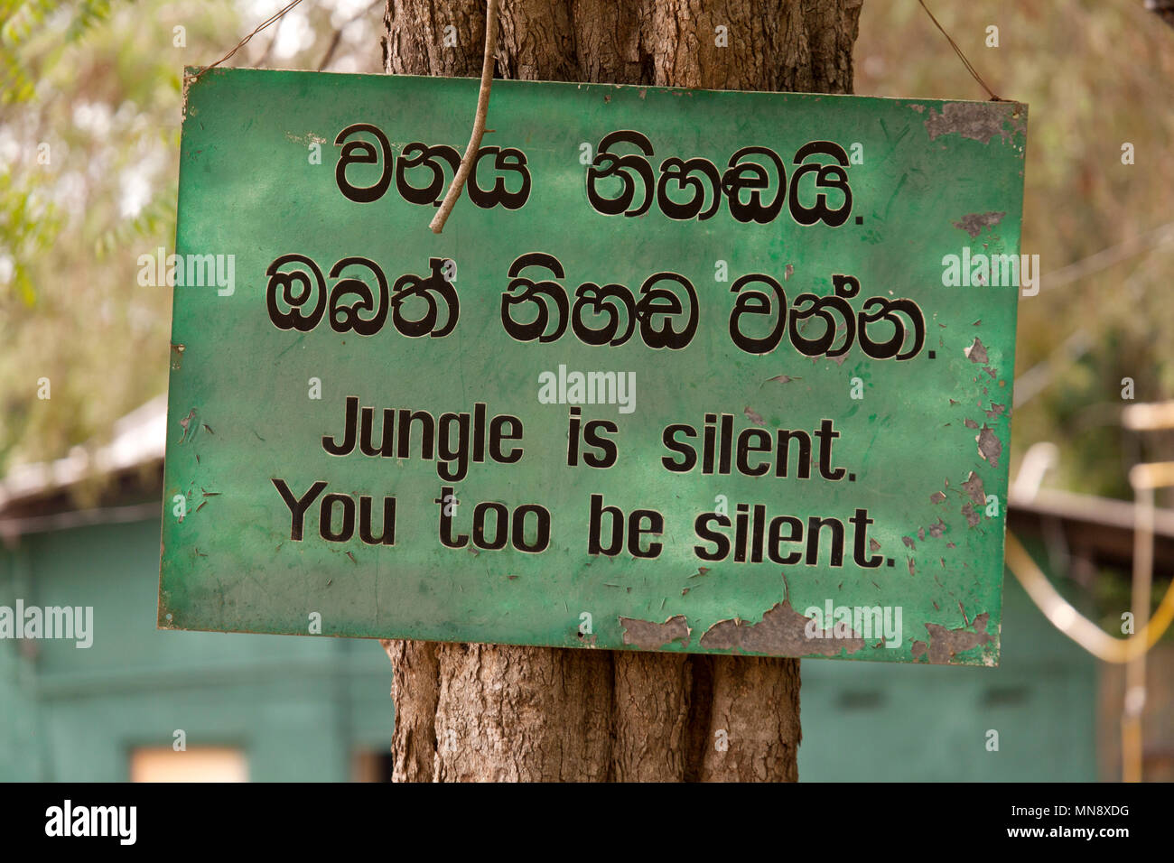 Un segno a Udwawalawe Elephant Transit Home a Uwawalawe parco nazionale in Sri Lanka. Si dice 'Jungle è silenzioso. Anche voi essere silenzioso.". Foto Stock