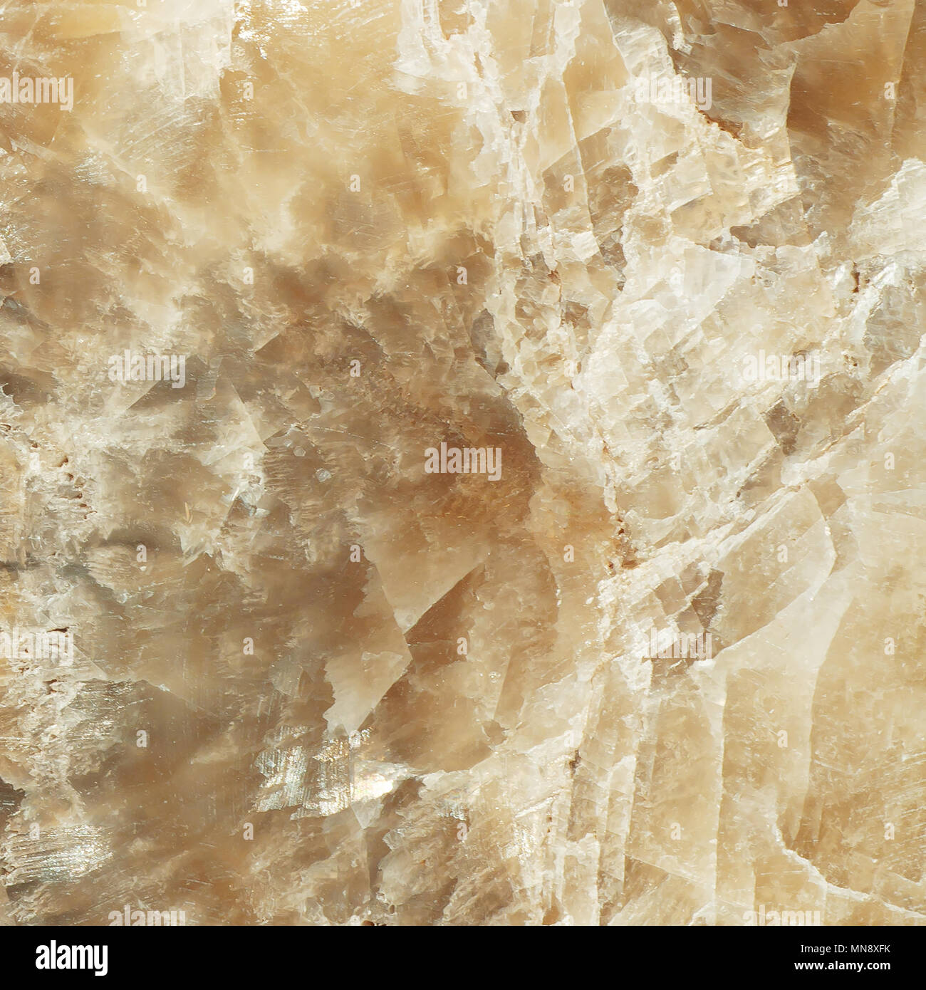 Texture in marmo hi-res a parete e pavimento in piastrelle ...