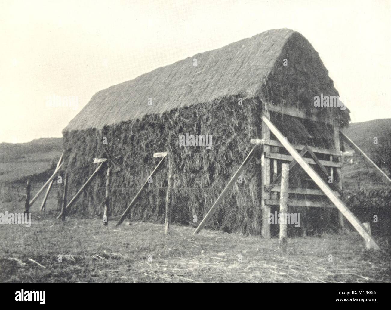 Agricoltura. McAinsh-Robertson GRANO CHE ASCIUGA rack. Pila completata 1912 antica stampa Foto Stock