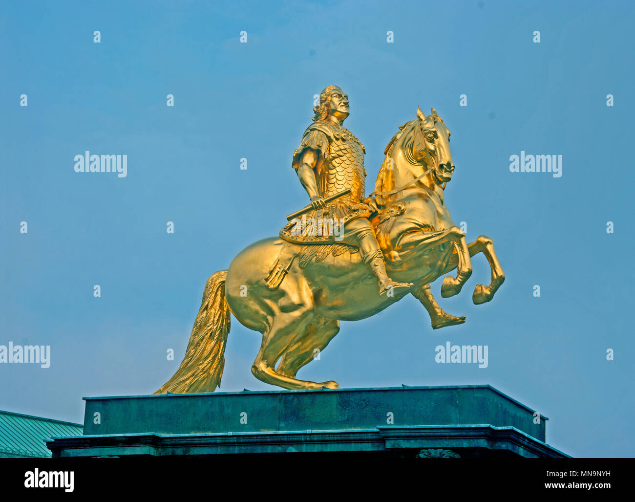 Friedrich Augustus 1 il Forte, Equestre statua dorata, Dresda, Sassonia, Germania, Foto Stock