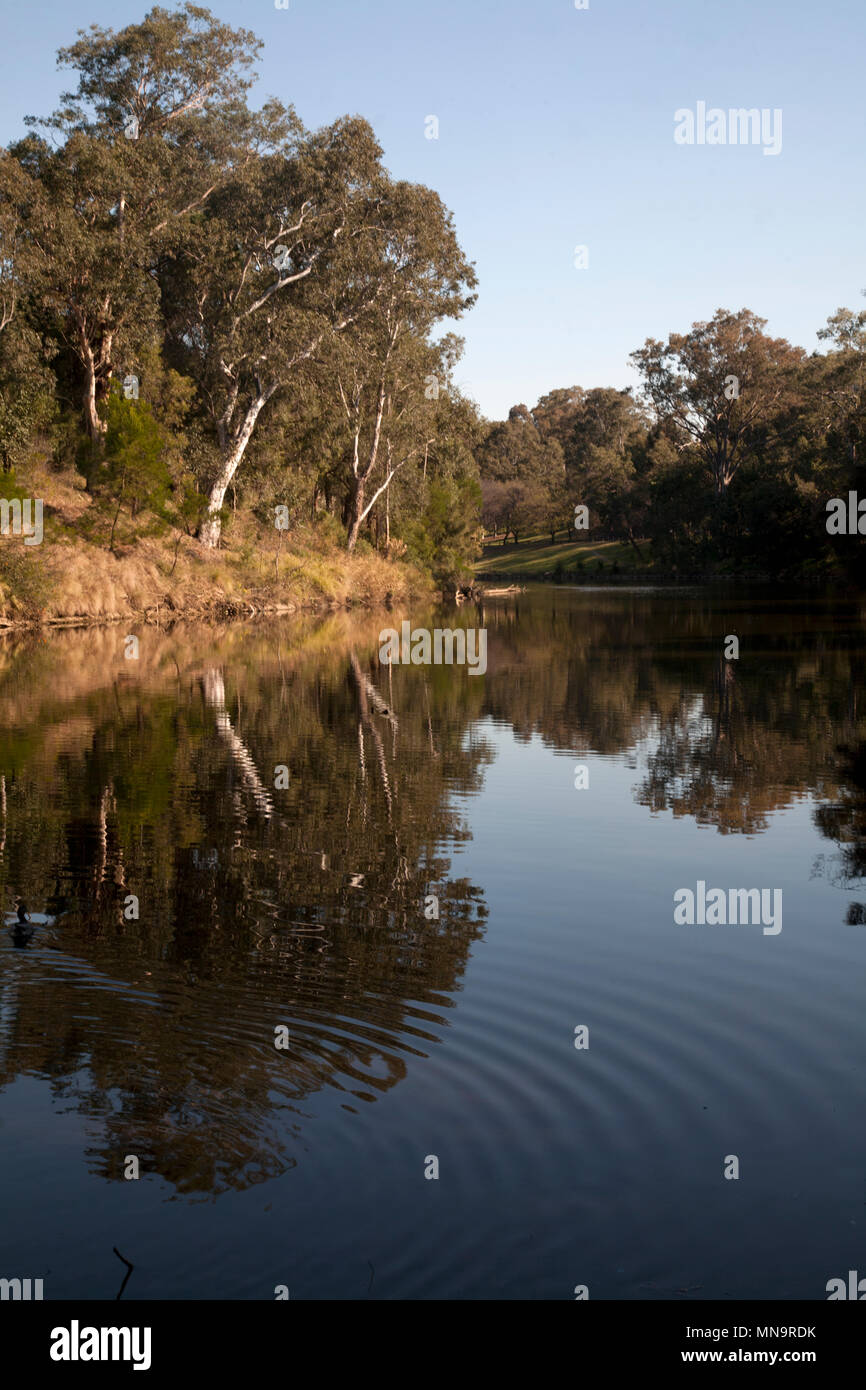 Parramatta fiume paramatta park parramatta sydney New South Wales AUSTRALIA Foto Stock