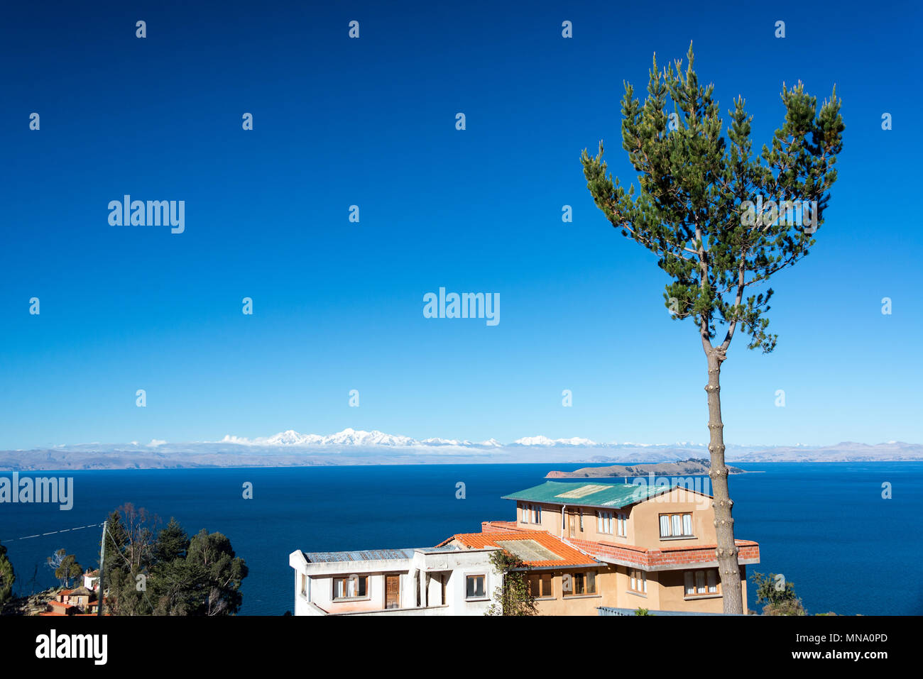 Altezza albero con il lago Titicaca e le montagne delle Ande in background su Isla del Sol in Bolivia Foto Stock