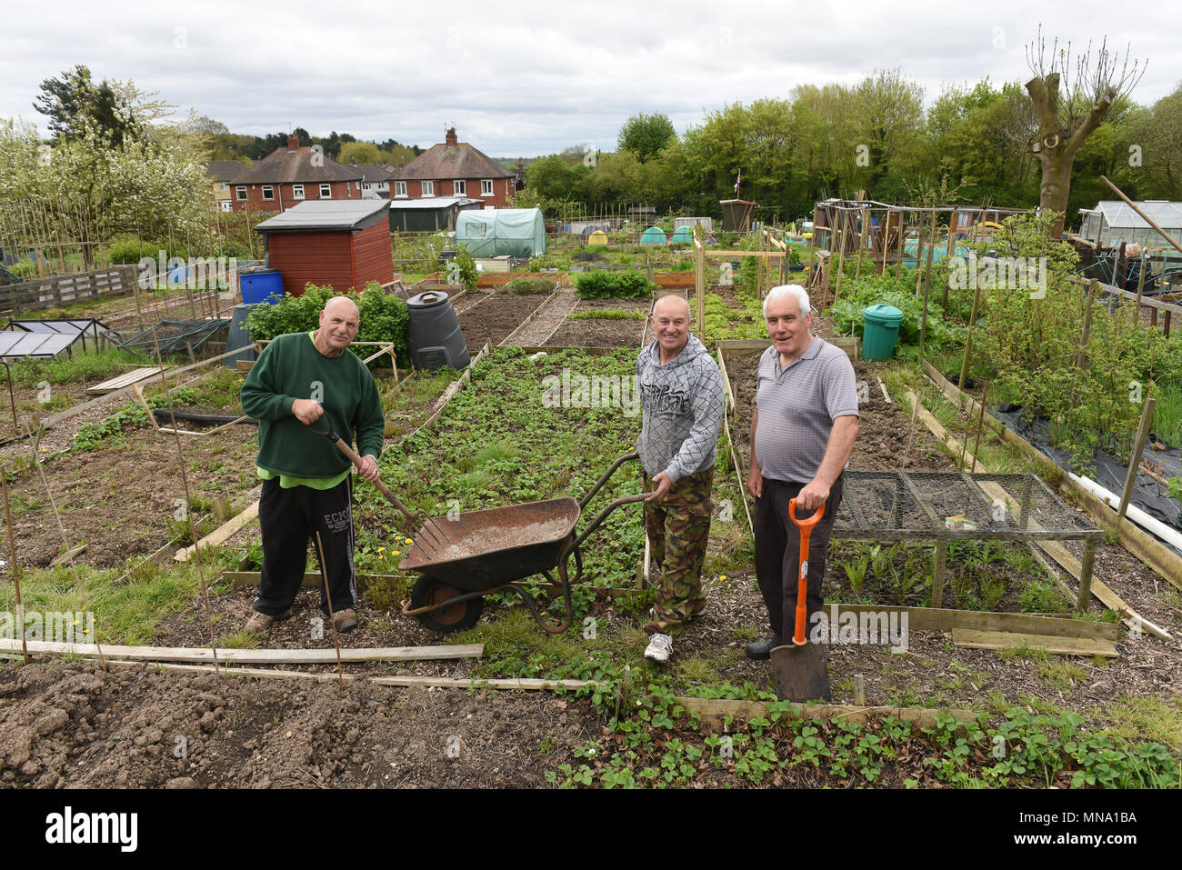 Giardinieri a Woodside appezzamenti e tempo libero associazione giardinieri a Telford Regno Unito Foto Stock