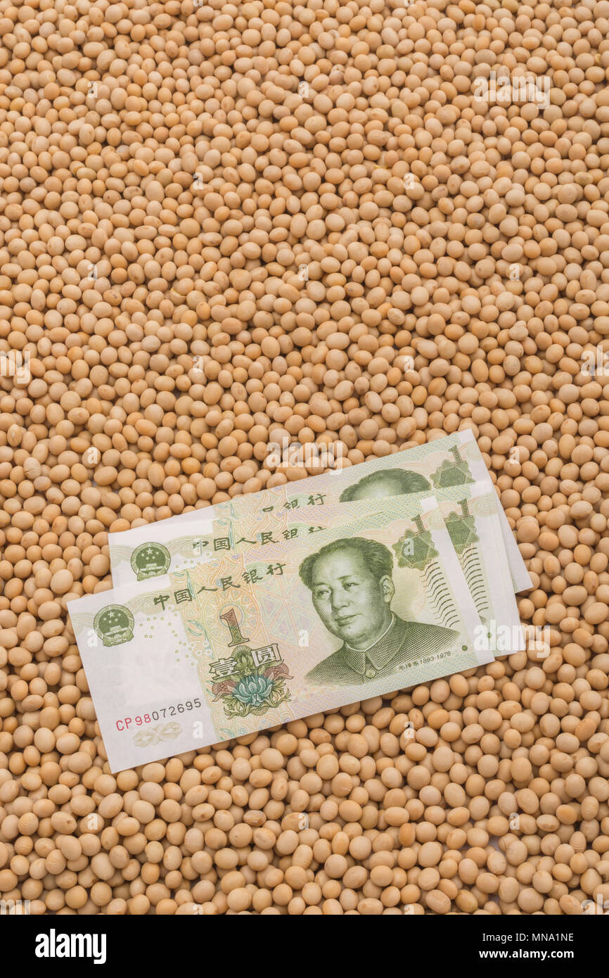 Cina USA di fagioli di soia concetto tariffe - renminbi cinese banconota con masse di materie / semi di soia secchi. Noi Cina guerra commerciale concetto, Cina tariffe di soia. Foto Stock