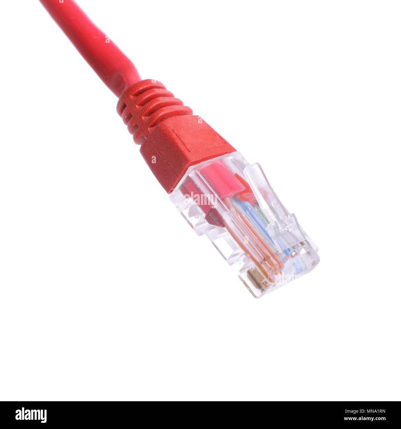 Rosso rete dati cavo patch Ethernet RJ 45 isolato su sfondo bianco Foto Stock Rosso rete dati cavo patch Ethernet RJ 45 isolato su sfondo bianco Foto Stock