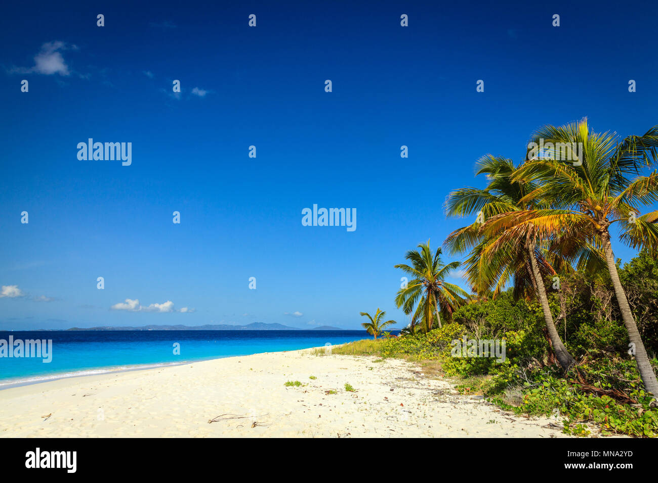 Vuoto spiaggia idilliaca su una piccola isola nel BVI Foto Stock