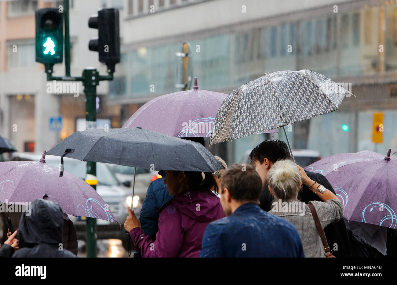 Stoccolma, Svezia - Luglio 29, 2015: Le persone sotto la pioggia con ombrelloni a crosswalk nel centro cittadino di Stoccolma Foto Stock