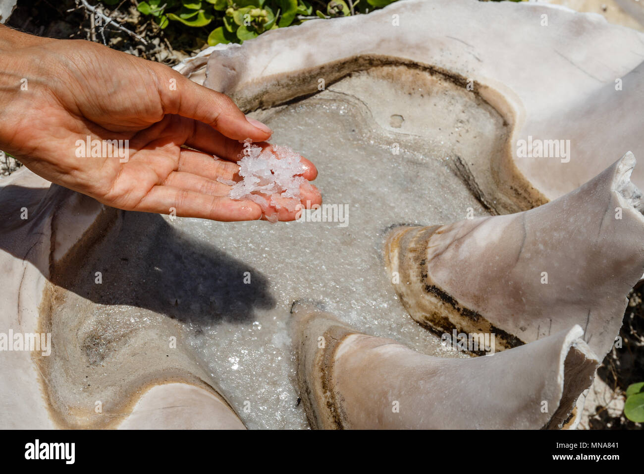 Tradizionale processo di fabbricazione di sale marino - acqua salata di essiccazione in grandi serbatoi sotto il sole a Ndao Isola, Indonesia Foto Stock