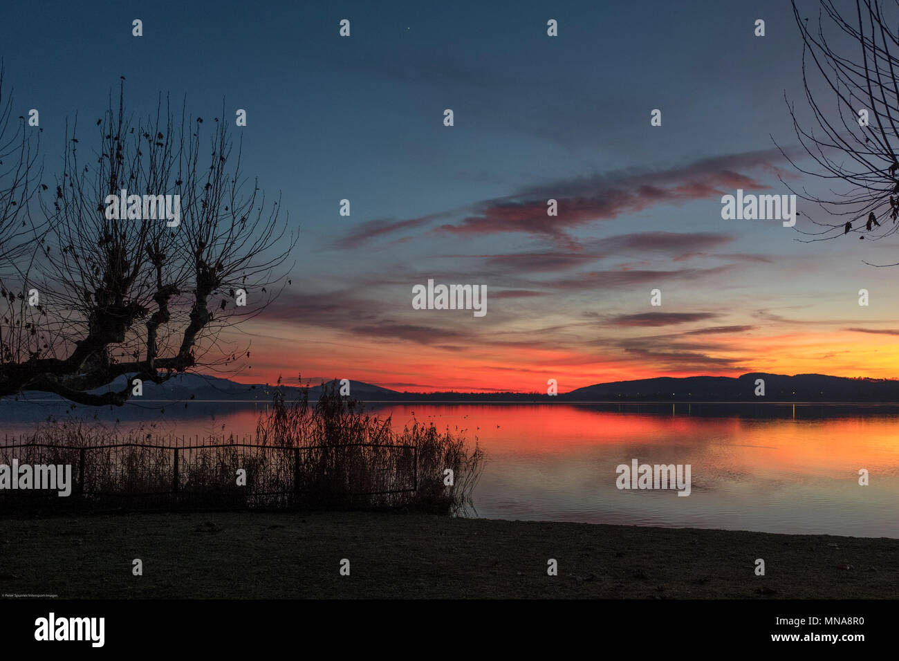 Gropello, provincia di Varese, Lombardia, Italia, vista del tramonto attraverso il Lago di Varese, Lago di Varese, atmosferico, rosso giallo e blu cielo rimbalzare la luce dal sole che tramonta sotto l'orizzonte, © Peter SPURRIER, Foto Stock