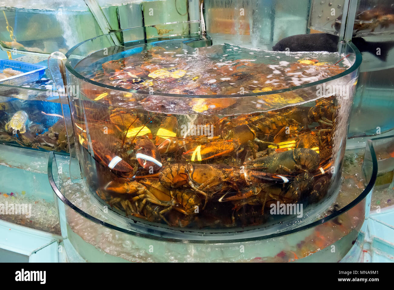 Serbatoi di pesce in un ristorante Cinese di Hong Kong, Cina. Foto Stock
