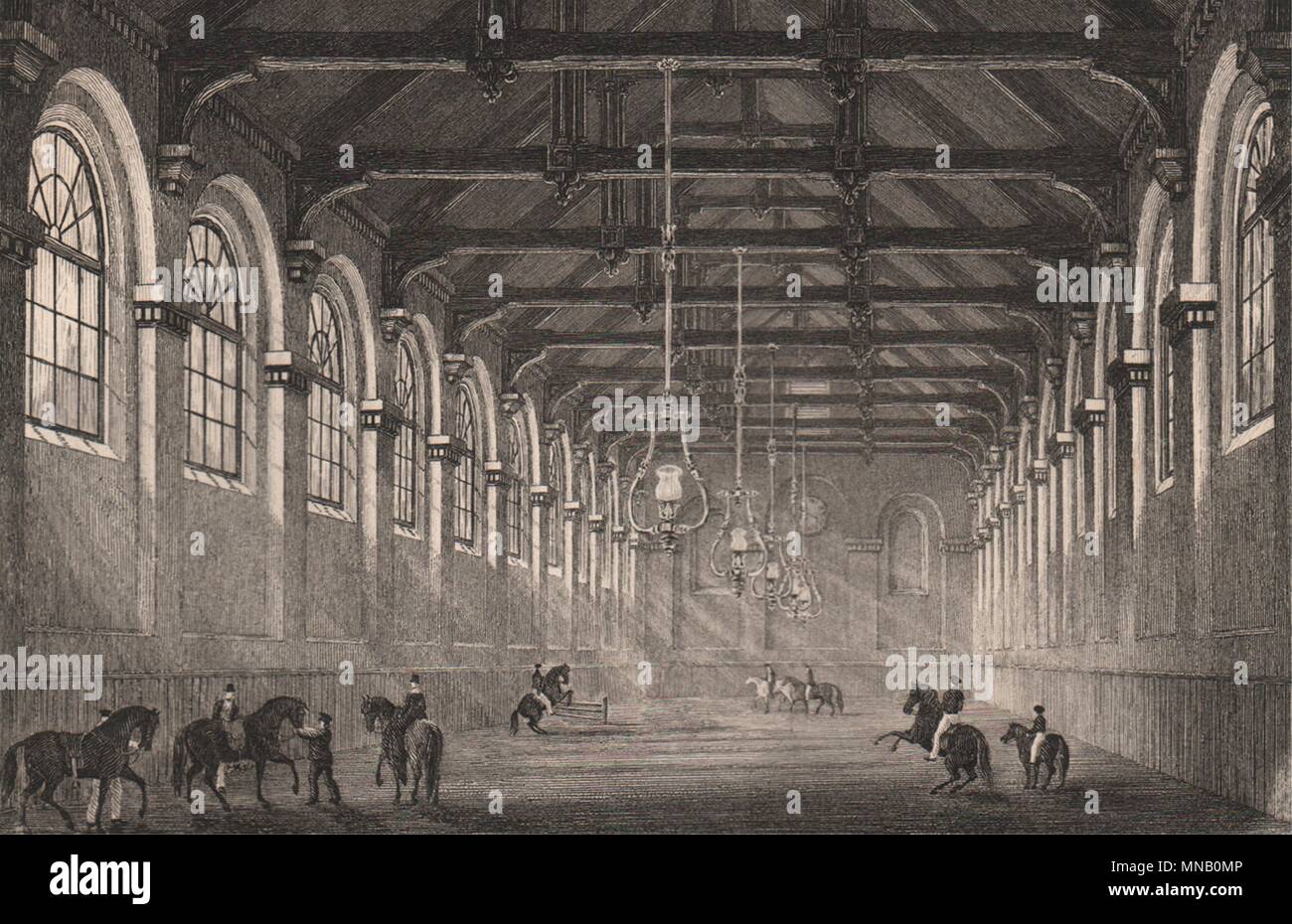 SOUTHAMPTON. La nuova scuola di equitazione. BRANNON 1853 antica immagine di stampa Foto Stock