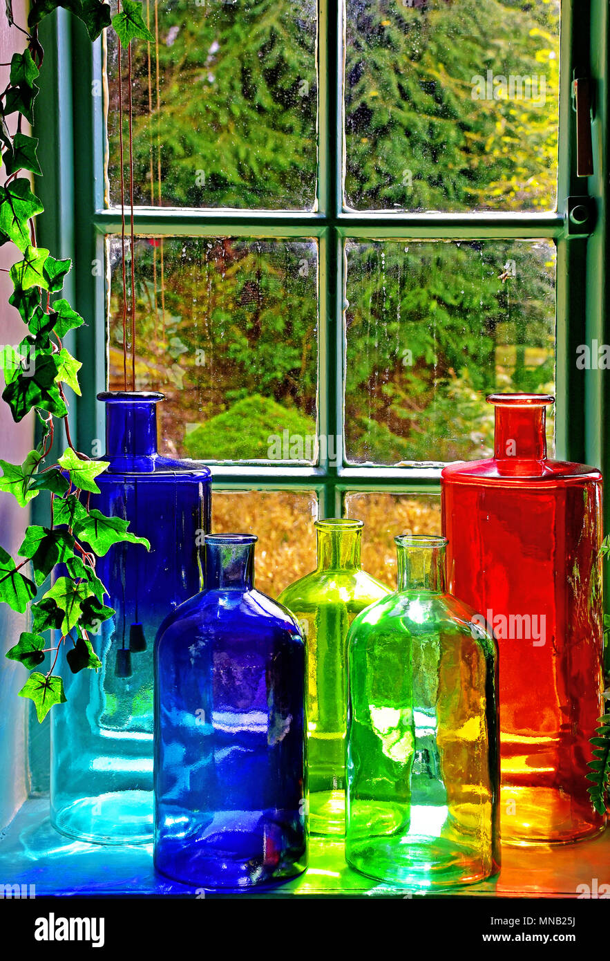 Rosso verde giallo e azzurro bottiglie dalla finestra con felci ed edera Foto Stock