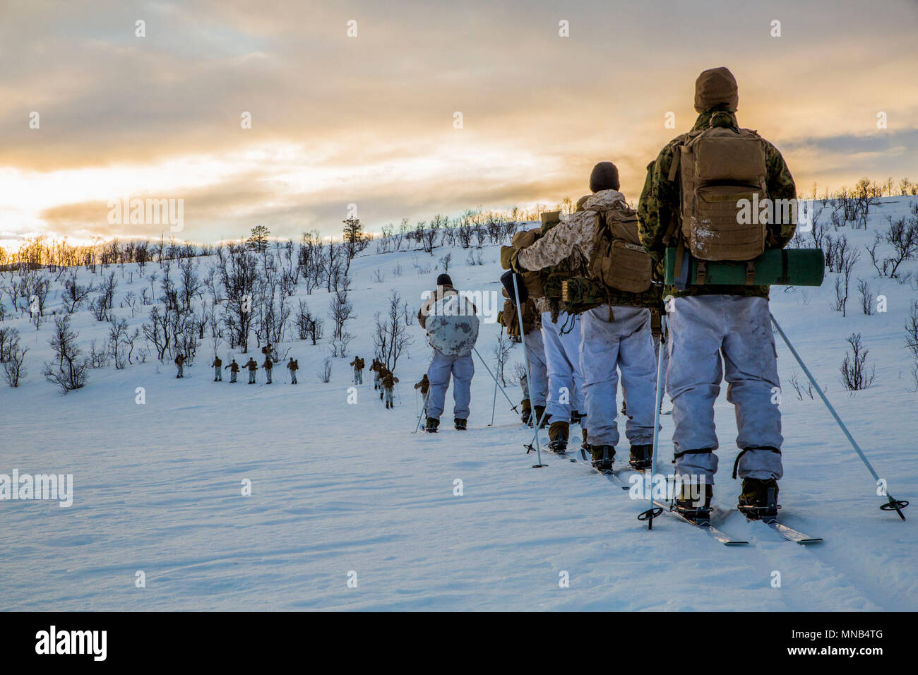 Stati Uniti Marines con Marine forza rotazionale 17.2 condurre un movimento di sci durante l'esercizio White Claymore in Bardufoss, Norvegia, febbraio 2, 2018. White Claymore è un giunto bi-laterale freddo artico meteo pacchetto formazione guidata dal Regno Unito Royal Marines per treno e valutare la competenza in tempo freddo le operazioni e migliorare la cooperazione strategica e di partenariato tra gli Stati Uniti Marines e U.K. Royal Marines. (U.S. Marine Corps Foto Stock