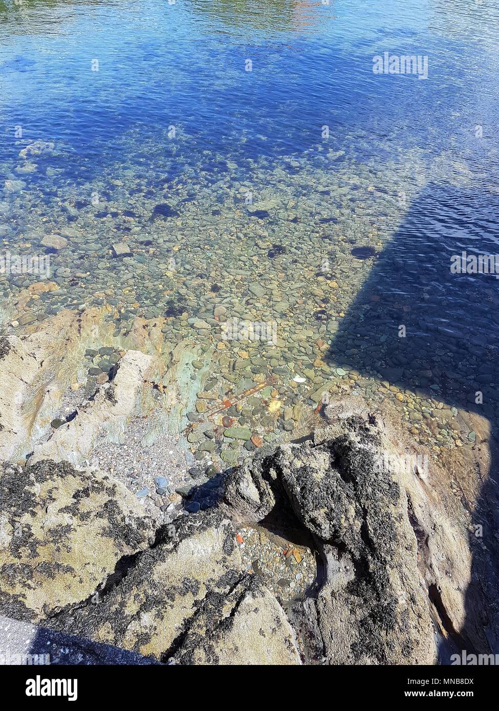 L'acqua chiara mostrando rocce e ciottoli in una spiaggia con la riflessione in acqua Foto Stock