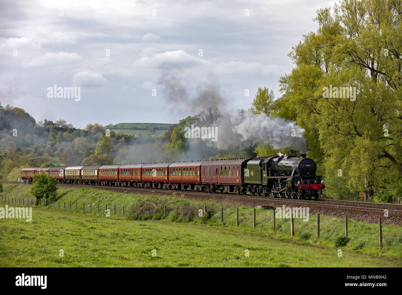 Le cattedrali Express tramite cottura a vapore Claverton Valley Foto Stock Le cattedrali Express tramite cottura a vapore Claverton Valley Foto Stock