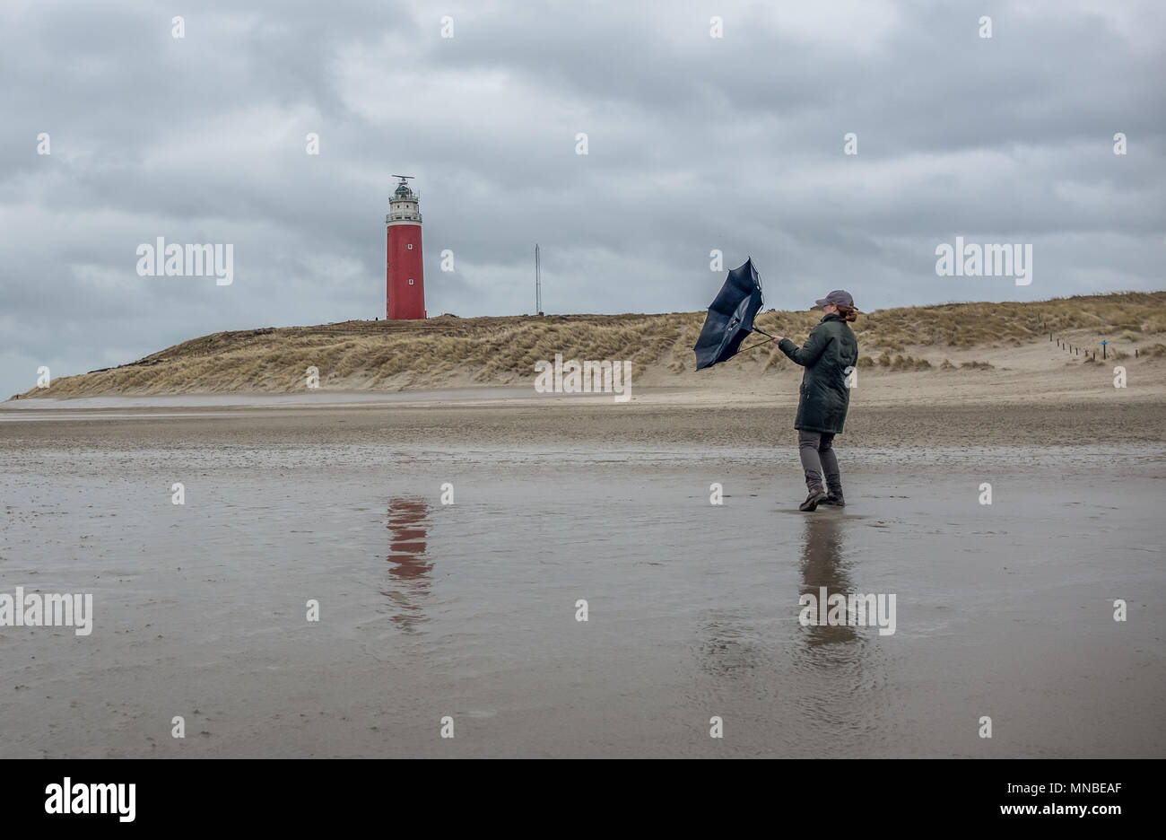 Donna alle prese con un ombrello in tempeste Foto Stock