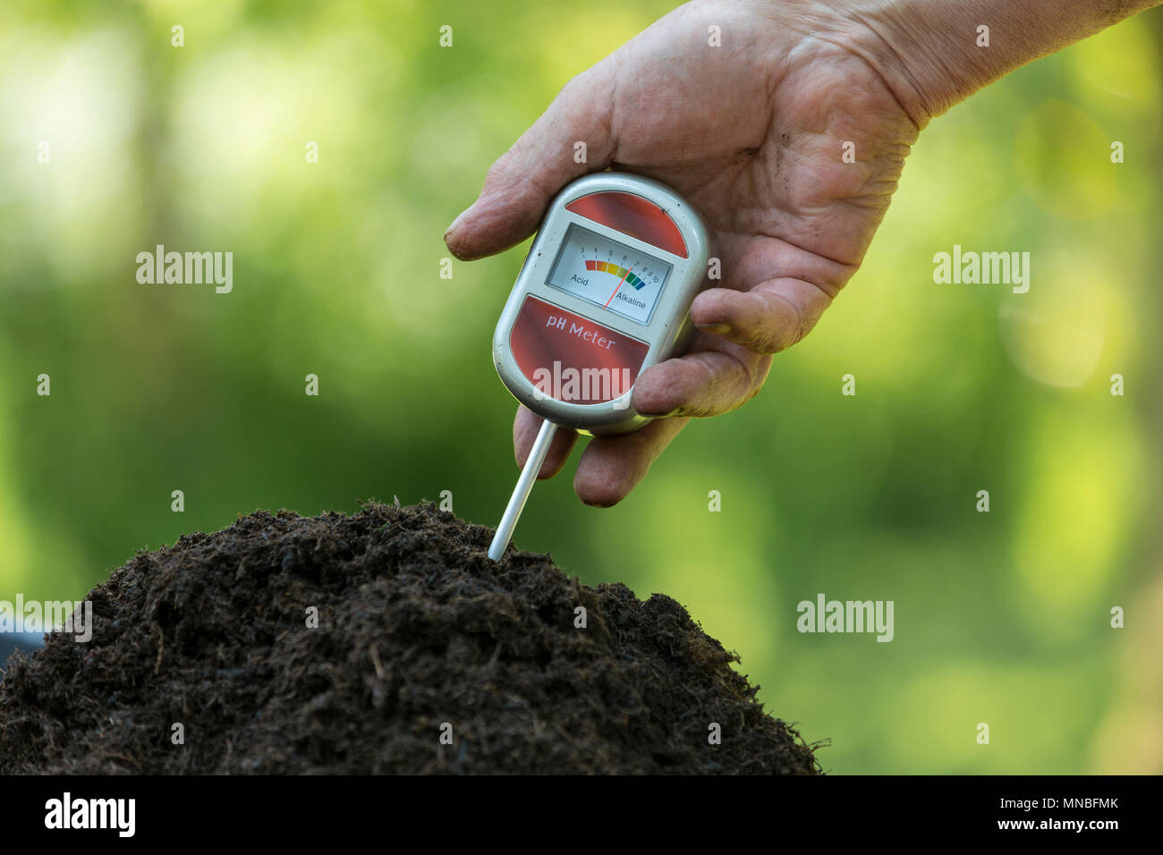 Terreno di test usando un tester di pH per controllare l'acidità del giardino compost. Foto Stock