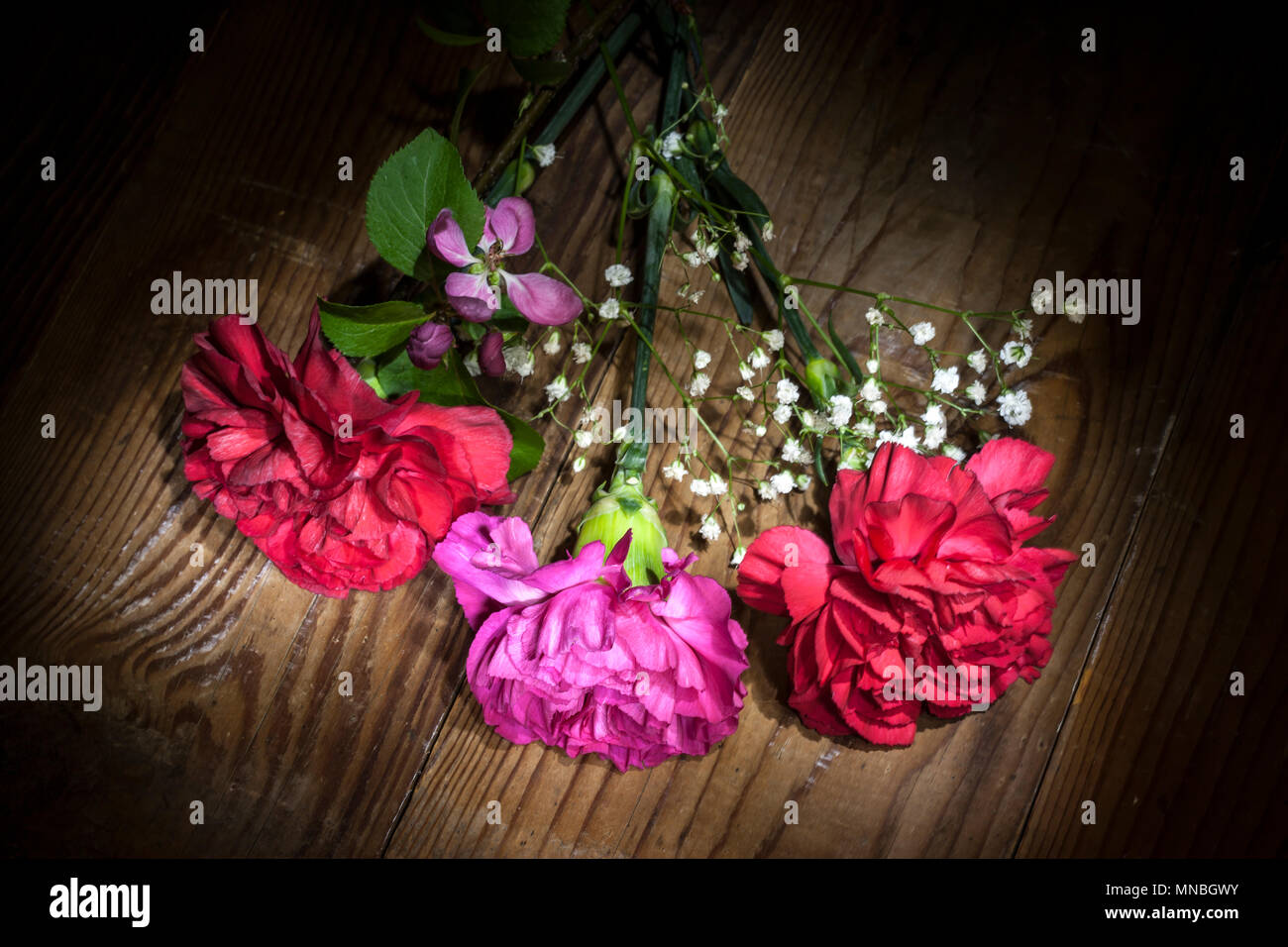 Tre fiori di garofano su legno essendo la luce dipinta in studio. Foto Stock