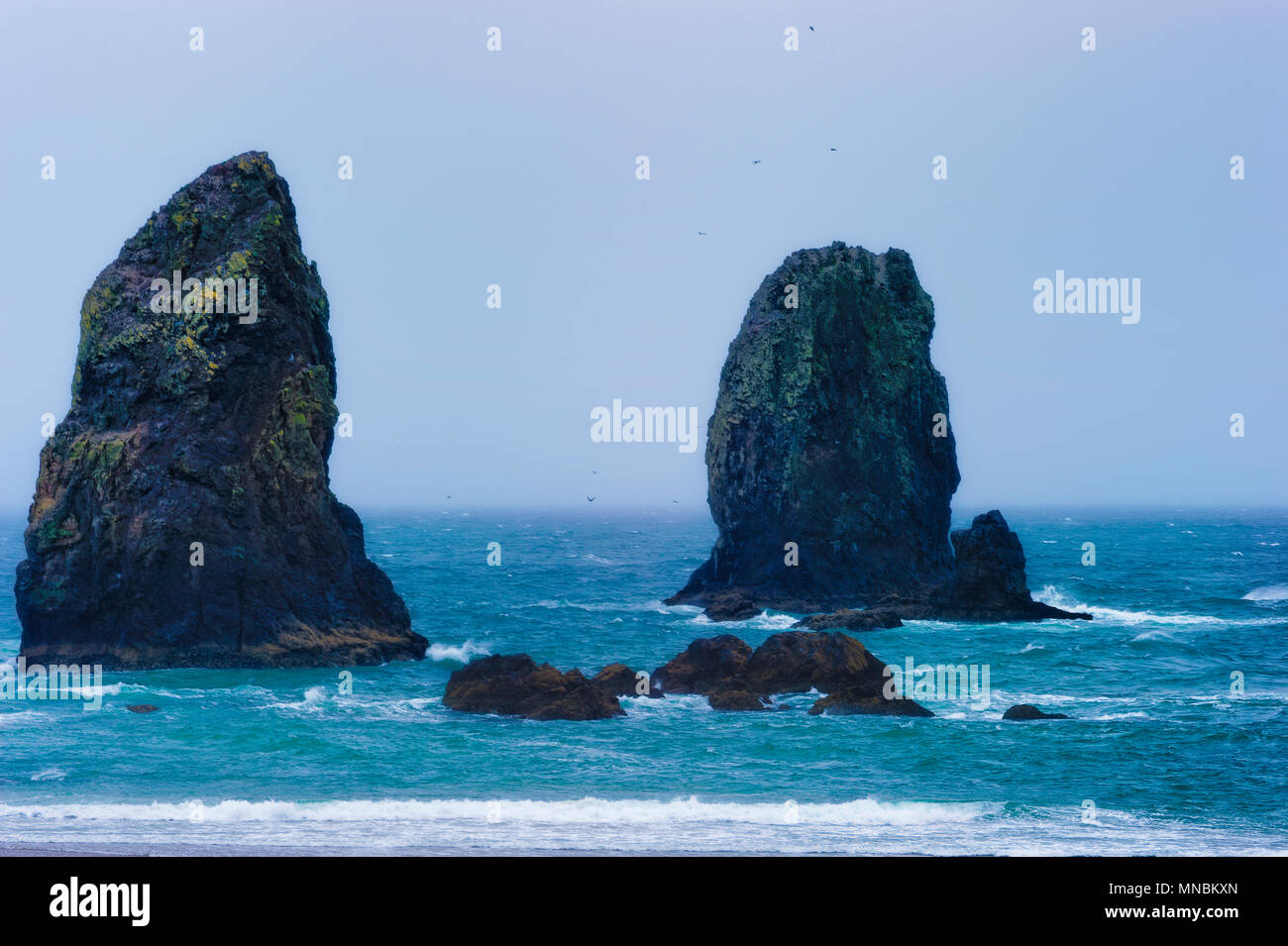 Le rocce intercotidali noto come pinnicals a Cannon Beach sono circondato da alte maree dell'Oceano Pacifico sulla costa dell'Oregon Foto Stock
