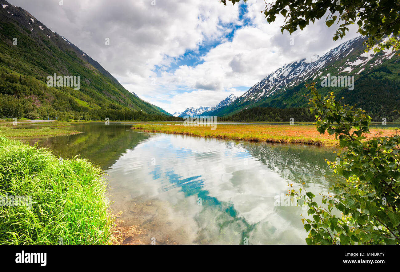 Paesaggio panoramico lungo la Seward Highway in Alaska nel Chugach National Forest in giugno Foto Stock