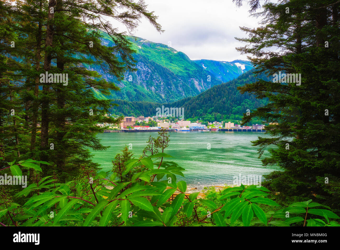 Juneau Alaska visto dall Isola di Douglas sull'altro lato del canale Gastineau . Majestic gamma di montagna con la lussureggiante foresta pluviale verdi delle piante e Foto Stock