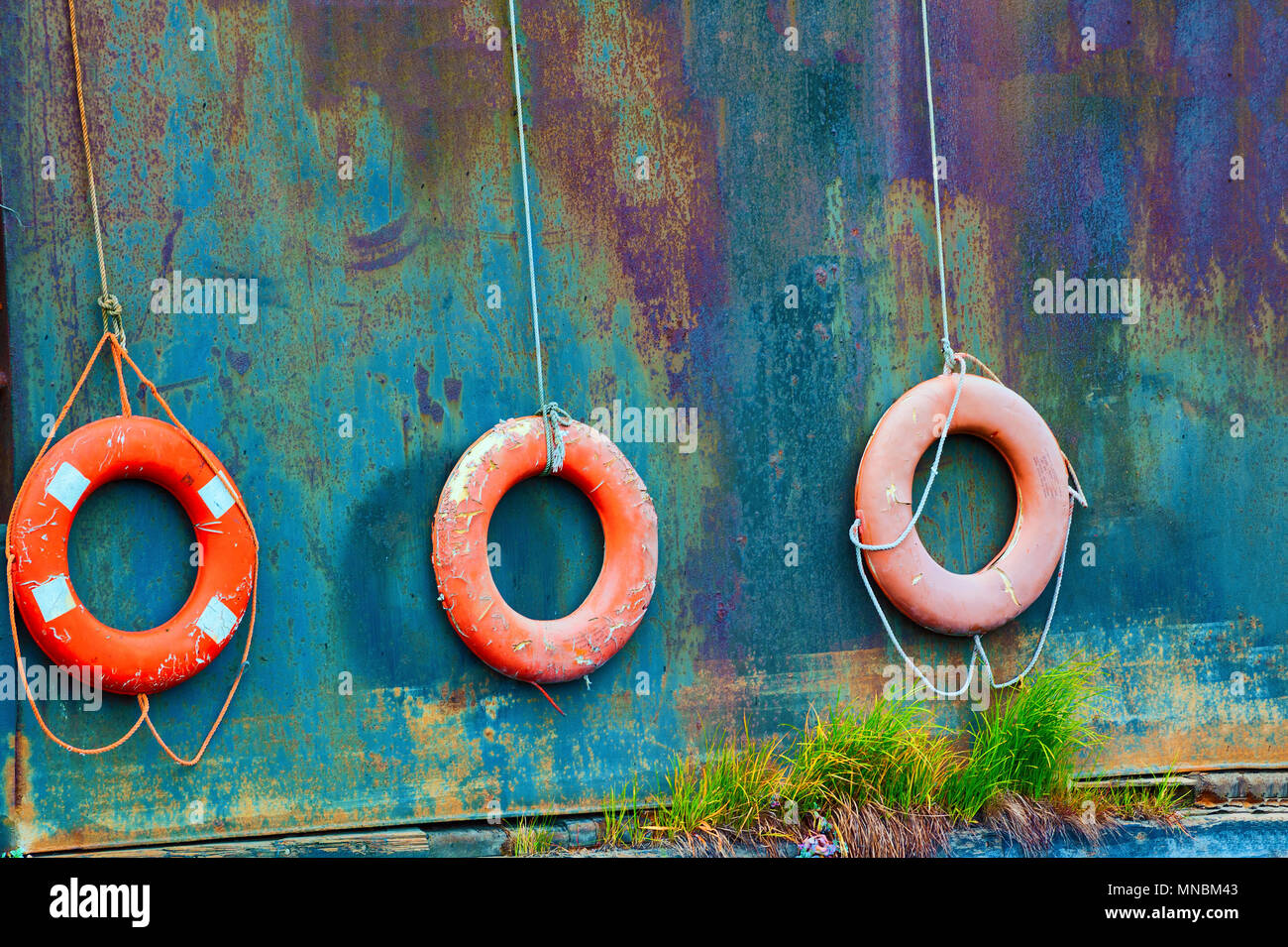Close up di vita tre anelli perserver hanging off una vecchia barca in un campo di barche di posta indesiderata in Omero, Alaska. Visto da un percorso pedonale lungo la Kachemak Foto Stock