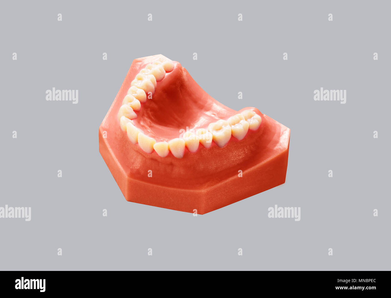 Odontoiatria dentale, modello di denti, diretto stampante 3D Foto Stock