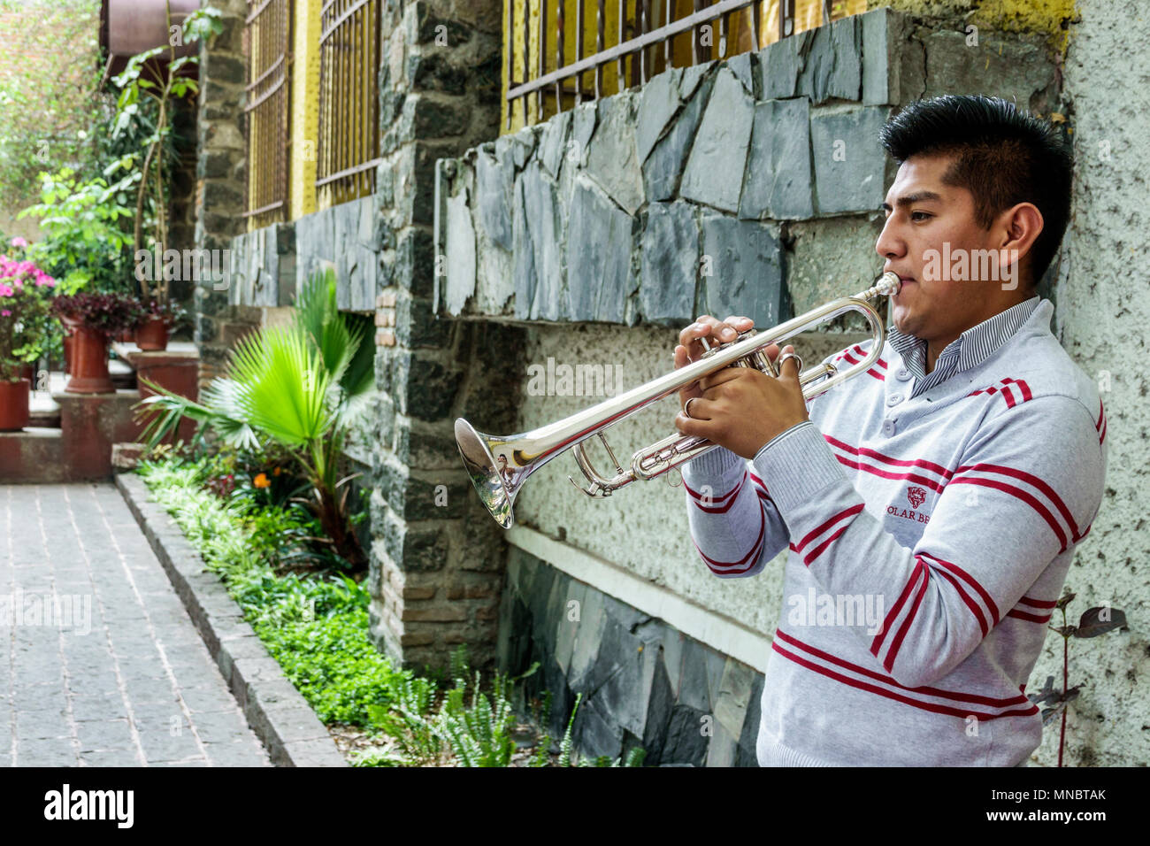 Città del Messico, messicano, ispanico, Coyoacan, Foro Cultural Coyoacanense Hugo Arguelles, centro performance, giardino, parco, uomo uomini maschio, musicista, pratica, corno, t Foto Stock