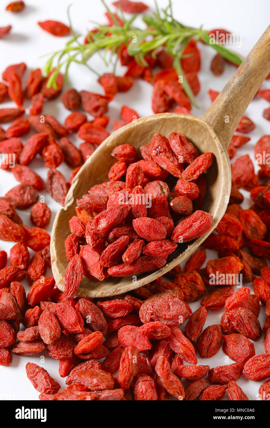 Cucchiaio di sana goji bacche goji su sfondo di frutti di bosco Foto Stock