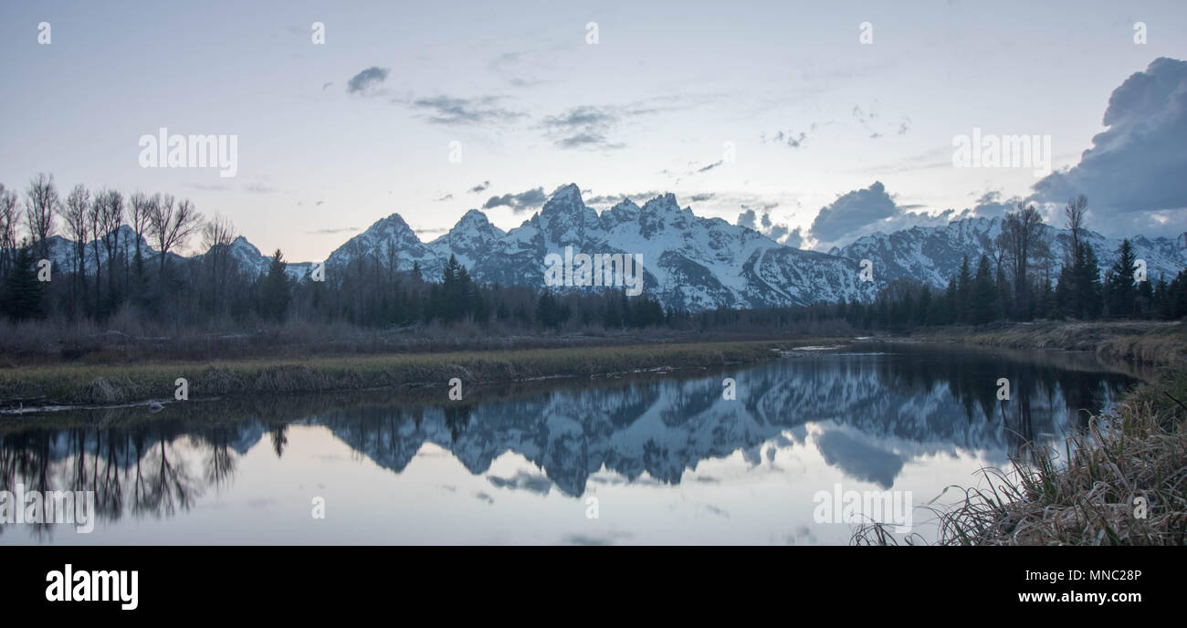 Le riflessioni di Tetons Foto Stock