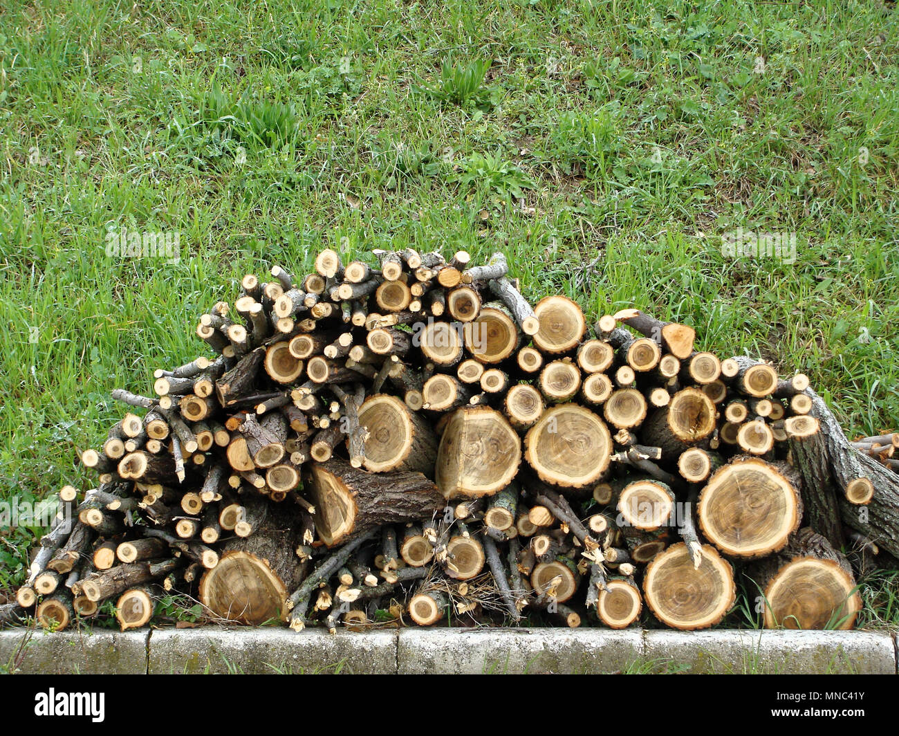 Woodpile di legna da ardere è accumulata sull'erba nel cortile della casa colonica. Foto Stock