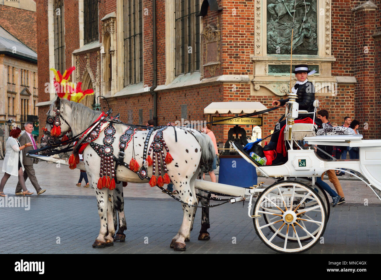 Tradizionale carrello di cavallo nella piazza principale di Cracovia. Polonia Foto Stock