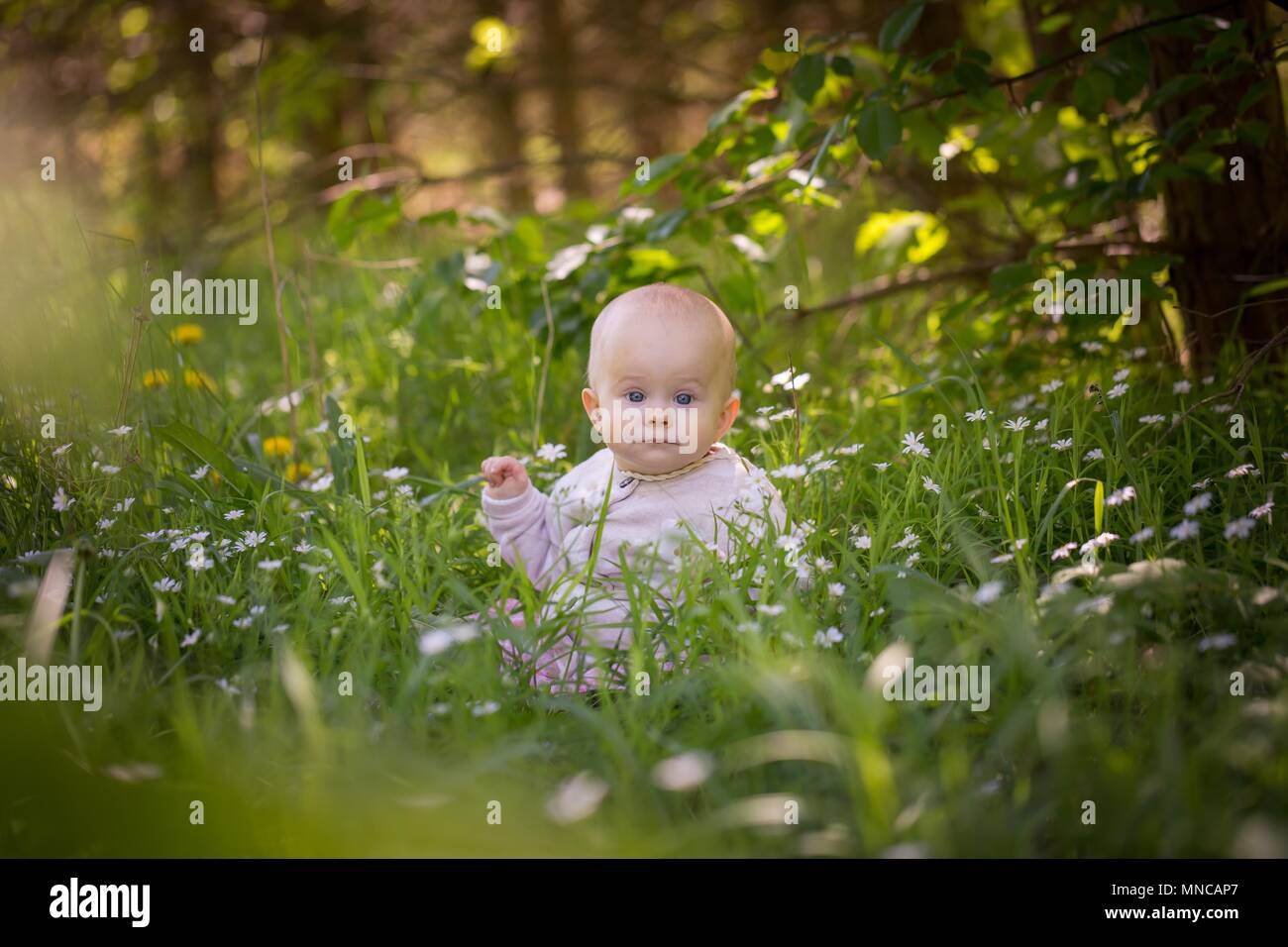 Piccolo bambino caucasico ragazza seduta in erba in foresta. Bellissimo bambino bambina ritratto in natura. Foto Stock