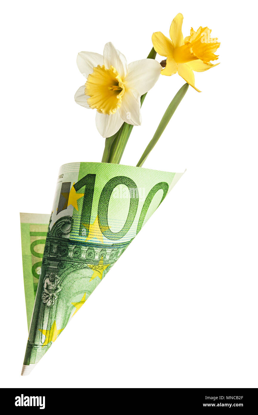 Sacchetto di carta fuori da un centinaio di euro con due fiori di narciso isolato su uno sfondo bianco Foto Stock