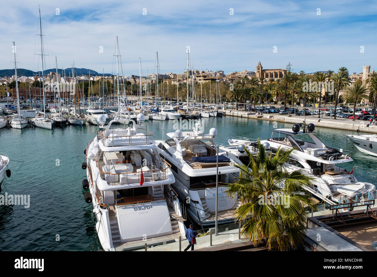 La marina in Palma de Mallorca, capitale dell'isola spagnola di Maiorca Foto Stock