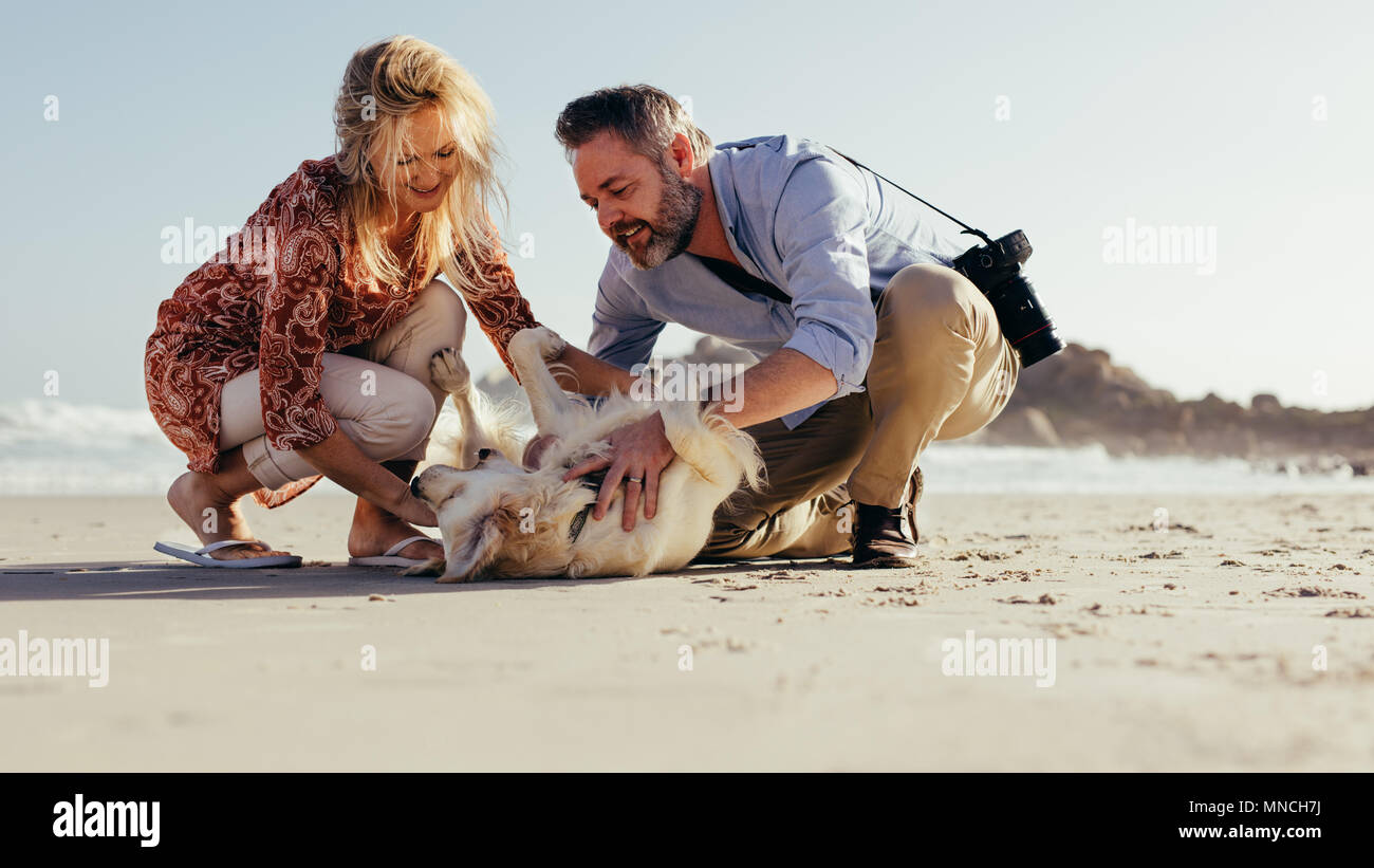 Coppia senior giocando con il loro cane sulla spiaggia. Senior l uomo e la donna si divertono con il loro cane in riva al mare. Foto Stock