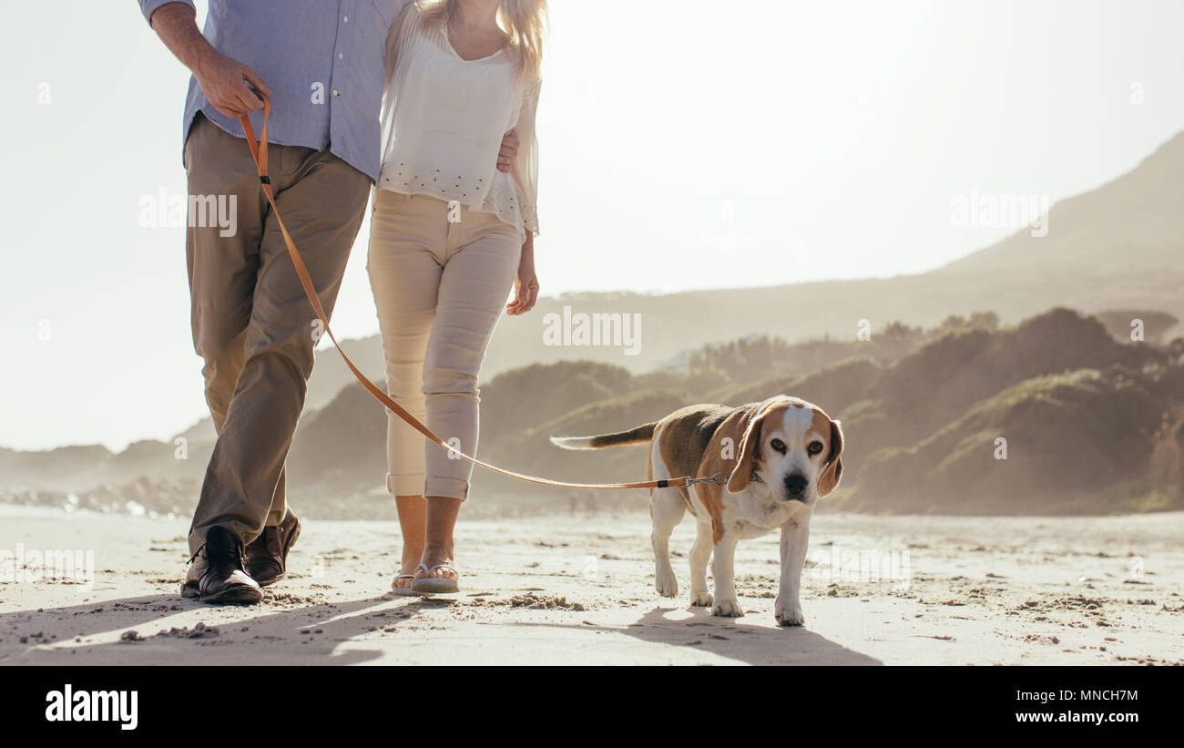 Coppia matura a piedi il loro cane sulla spiaggia. Cane di camminare sulla spiaggia con un paio di mattina. Foto Stock