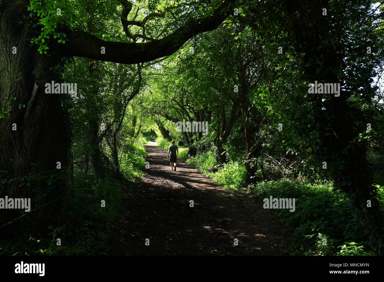 Bellissimo sentiero in Swillington, Leeds Foto Stock